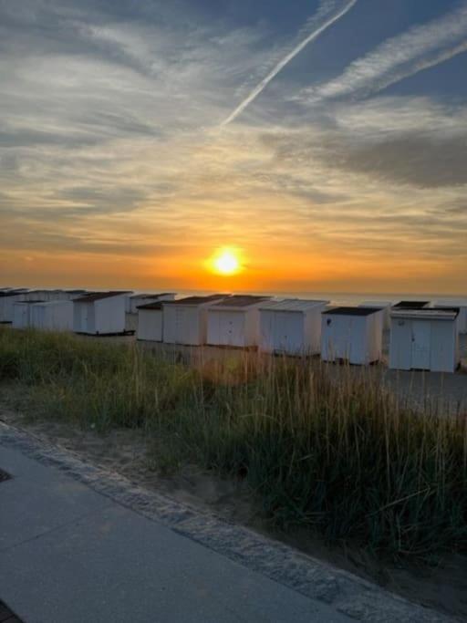 Vue Sur Dunes ! サンガット エクステリア 写真